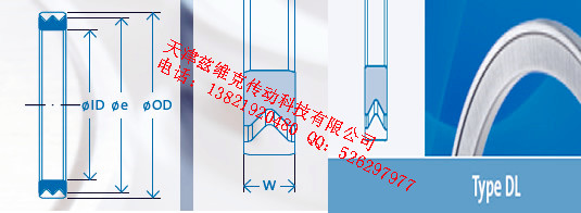 GMNDL45X62X4油封圖紙