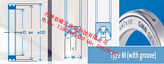 GMNM65X80X10油封圖紙